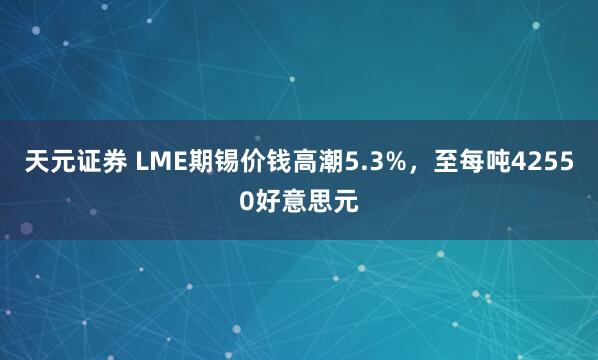 天元证券 LME期锡价钱高潮5.3%，至每吨42550好意思元