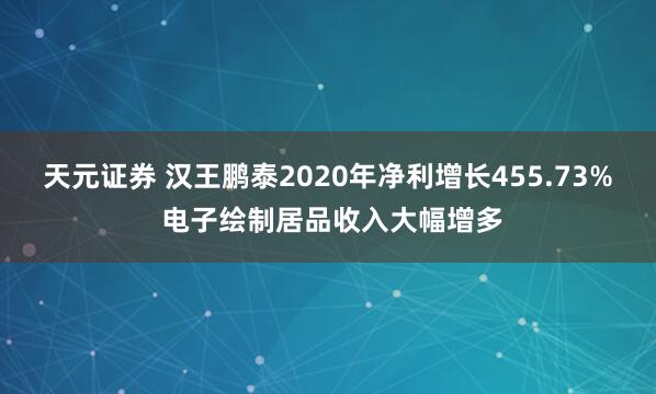 天元证券 汉王鹏泰2020年净利增长455.73% 电子绘制居品收入大幅增多
