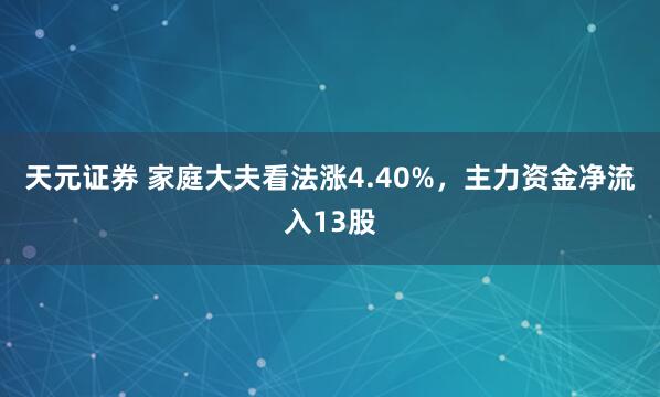 天元证券 家庭大夫看法涨4.40%，主力资金净流入13股