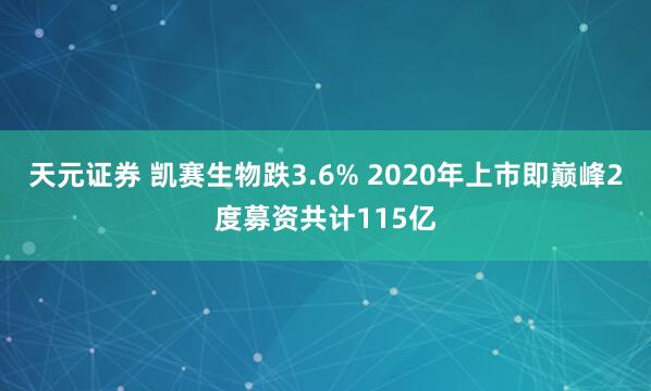 天元证券 凯赛生物跌3.6% 2020年上市即巅峰2度募资共计115亿