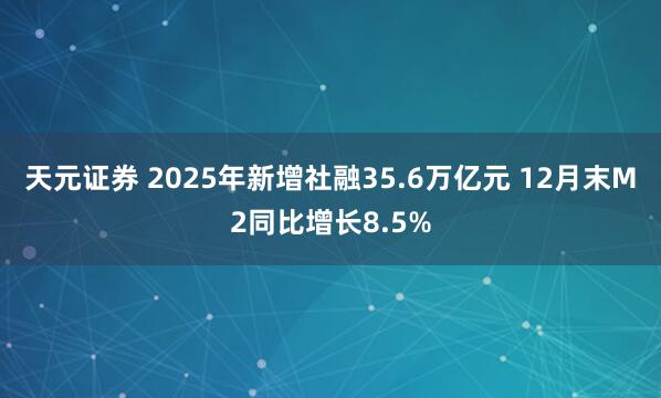 天元证券 2025年新增社融35.6万亿元 12月末M2同比增长8.5%