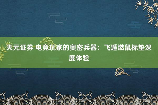 天元证券 电竞玩家的奥密兵器：飞遁燃鼠标垫深度体验