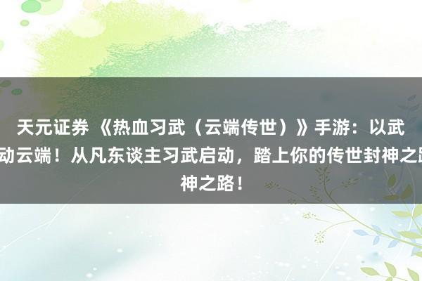 天元证券 《热血习武（云端传世）》手游：以武撼动云端！从凡东谈主习武启动，踏上你的传世封神之路！