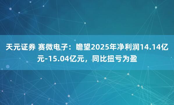 天元证券 赛微电子：瞻望2025年净利润14.14亿元-15.04亿元，同比扭亏为盈