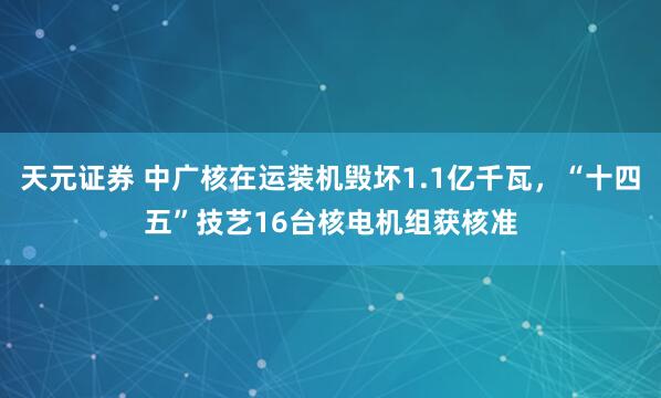 天元证券 中广核在运装机毁坏1.1亿千瓦，“十四五”技艺16台核电机组获核准